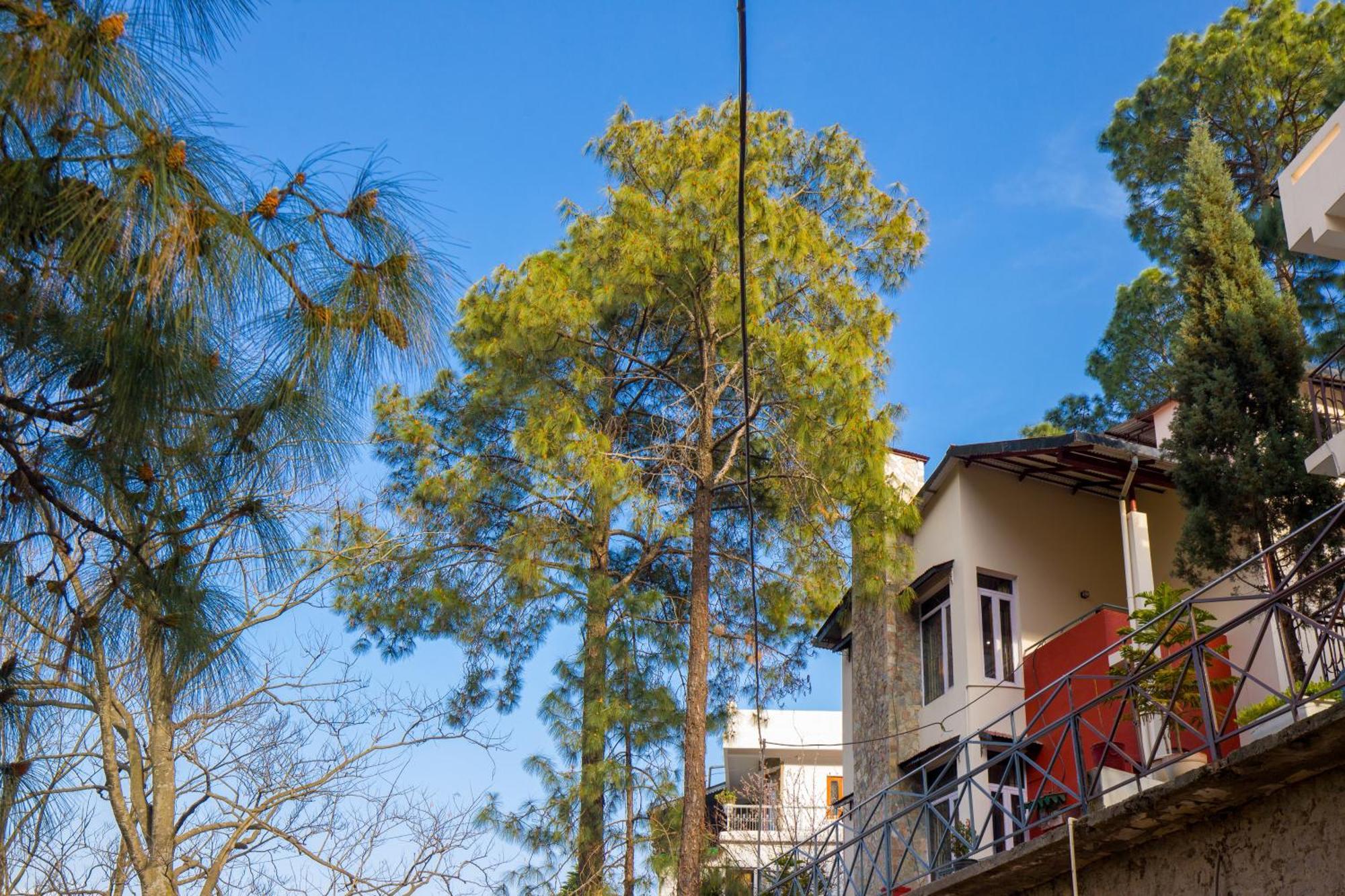 Alaya Stays Mehar Villa - 3 Bhk With Garden & Scenic Views Kasauli Exterior foto